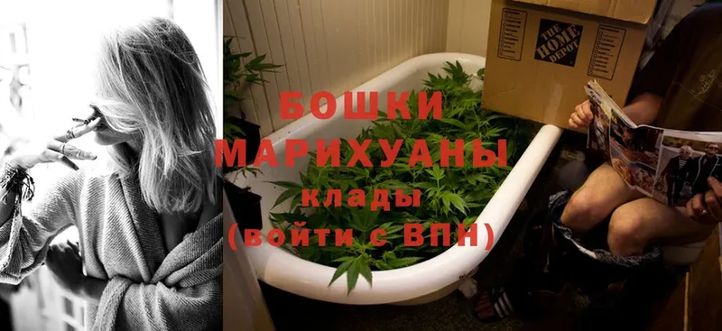 где найти   Глазов  блэк спрут   Каннабис White Widow 